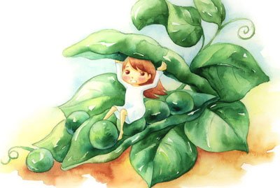 (網友投稿)觀察日記三則-豆子的發芽