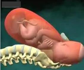 寶寶是旋轉著出生的看看生孩子全過程(資料圖)