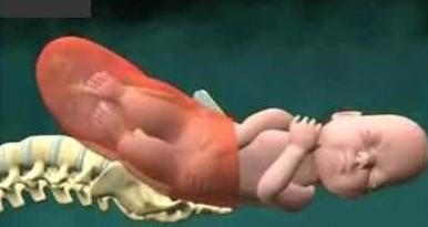 寶寶是旋轉(zhuǎn)著出生的看看生孩子全過程(資料圖)