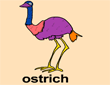 rBostrichɫ