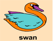 Z(swan)ɫ