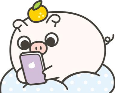 愛玩手機(jī)的小豬球球