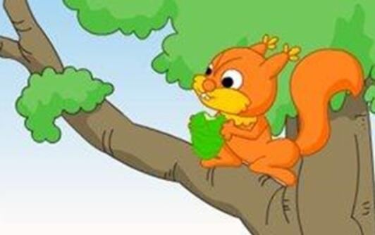 小松鼠的榕樹新家