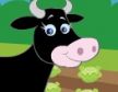 how the cow ate cabbage
