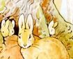 the tale of peter rabbit